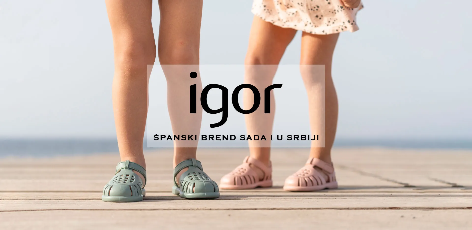 iGOR